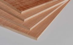 18mm Eucalyptus Hardwood Plywood